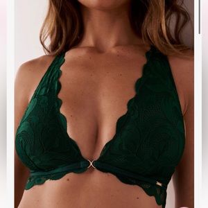 La Vie En Rose Plunge Lace and Mesh Bralette